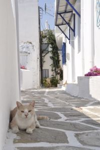 Paros-mes-bouts-du-monde (6)