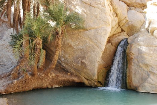 chebika-oasis-tunisie-mes-bouts-du-monde (9)