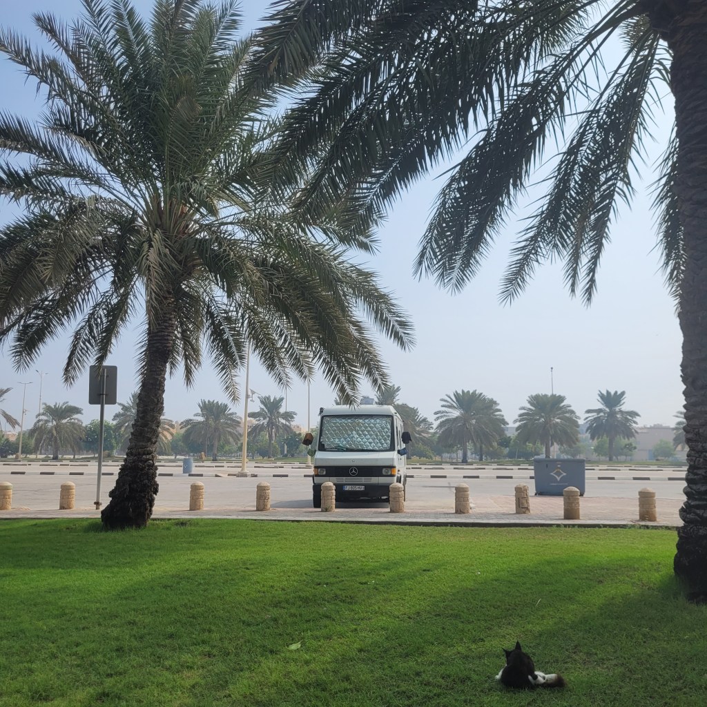 Un camion blanc stationné sur un parking, entouré de palmiers et d'une pelouse verte, avec un chat noir se reposant au premier plan.