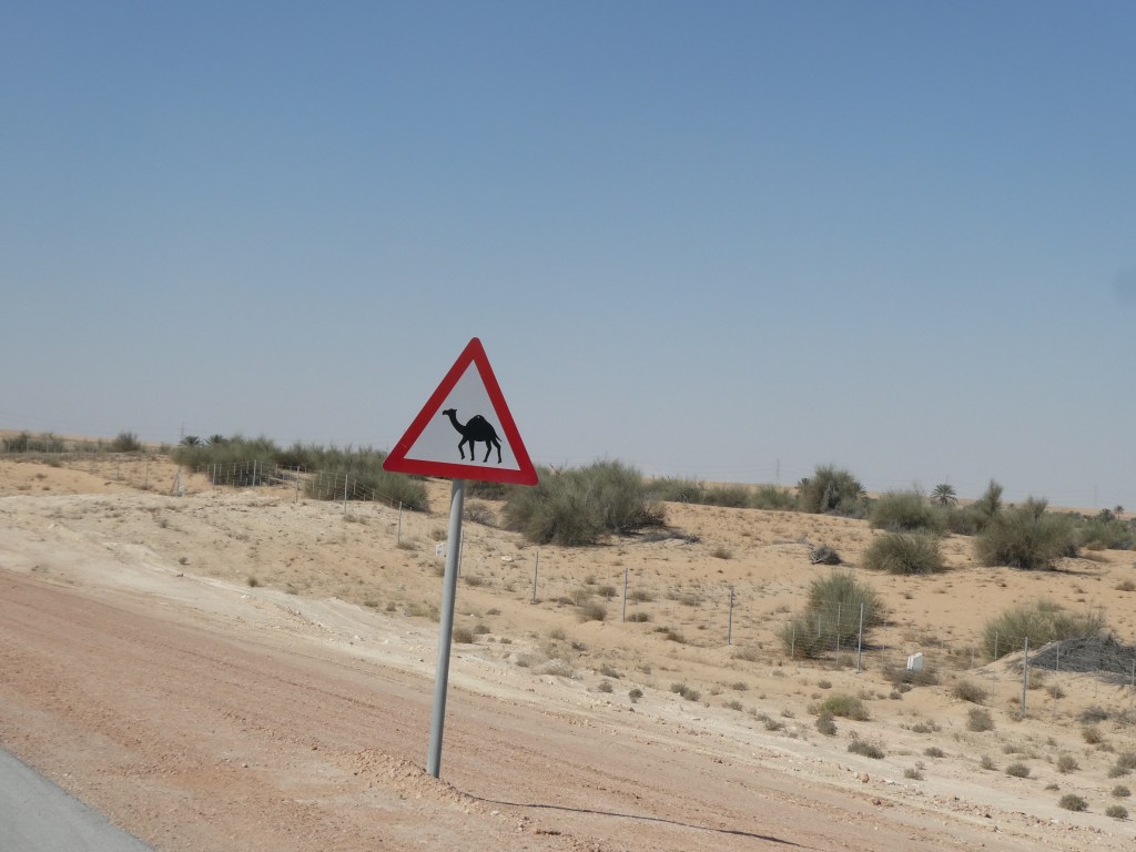 Un panneau routier d'avertissement indiquant la présence de chameaux sur la route, avec un paysage désertique en arrière-plan.