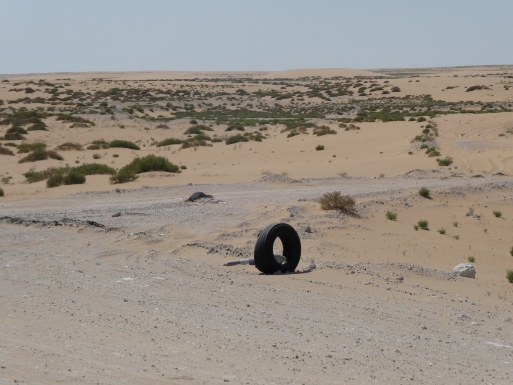 Un pneu usé abandonné sur un sol désertique, entouré de sable et de petites plantes vertes.