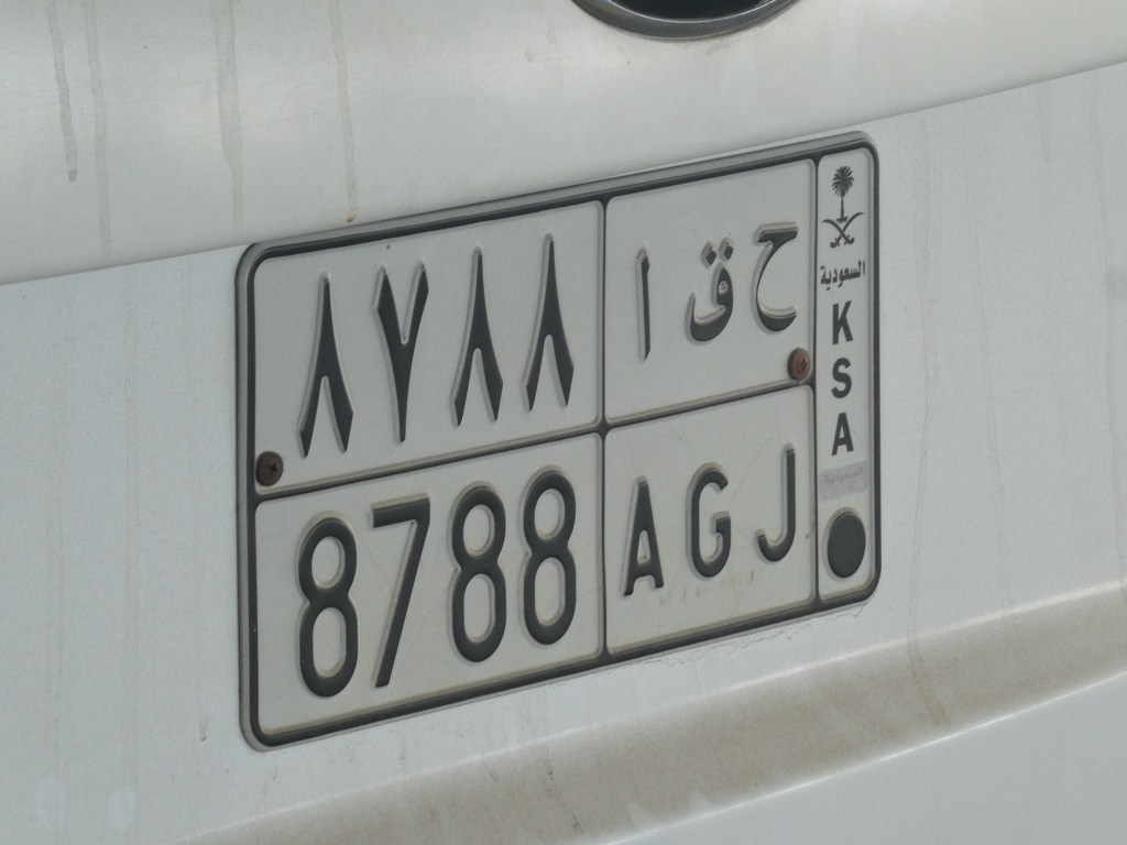 Plaque d'immatriculation saoudienne avec caractères arabes et chiffres.