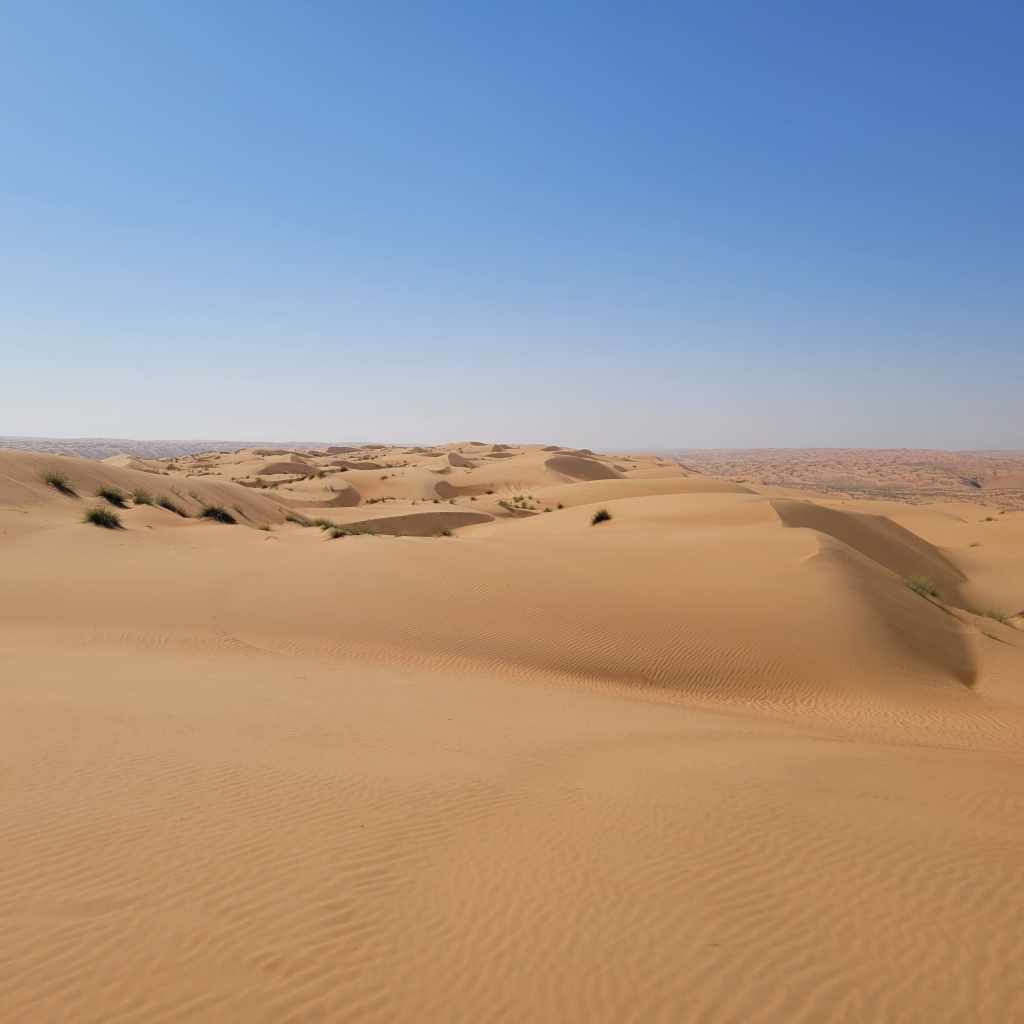 Un paysage de dunes de sable doré sous un ciel bleu clair.