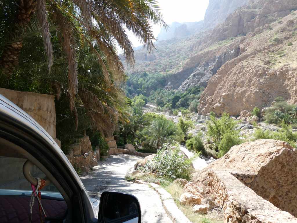 Vue d'une route sinueuse bordée de palmiers, avec des montagnes en arrière-plan et une vallée verdoyante.