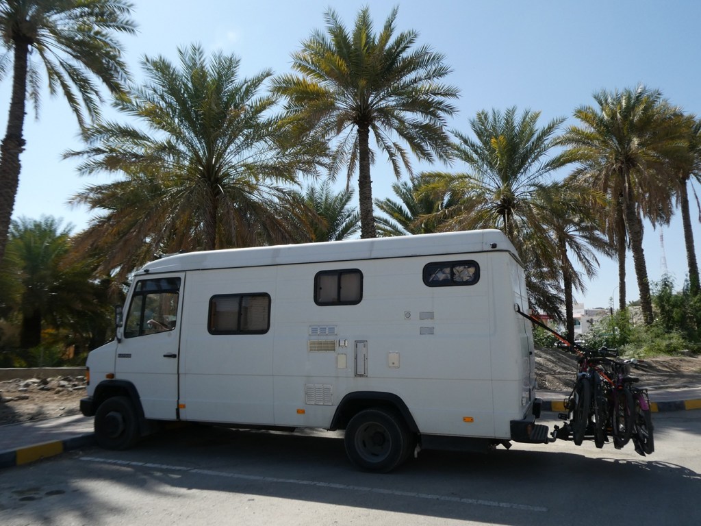 Un camping-car blanc garé près de palmiers dans un paysage ensoleillé.