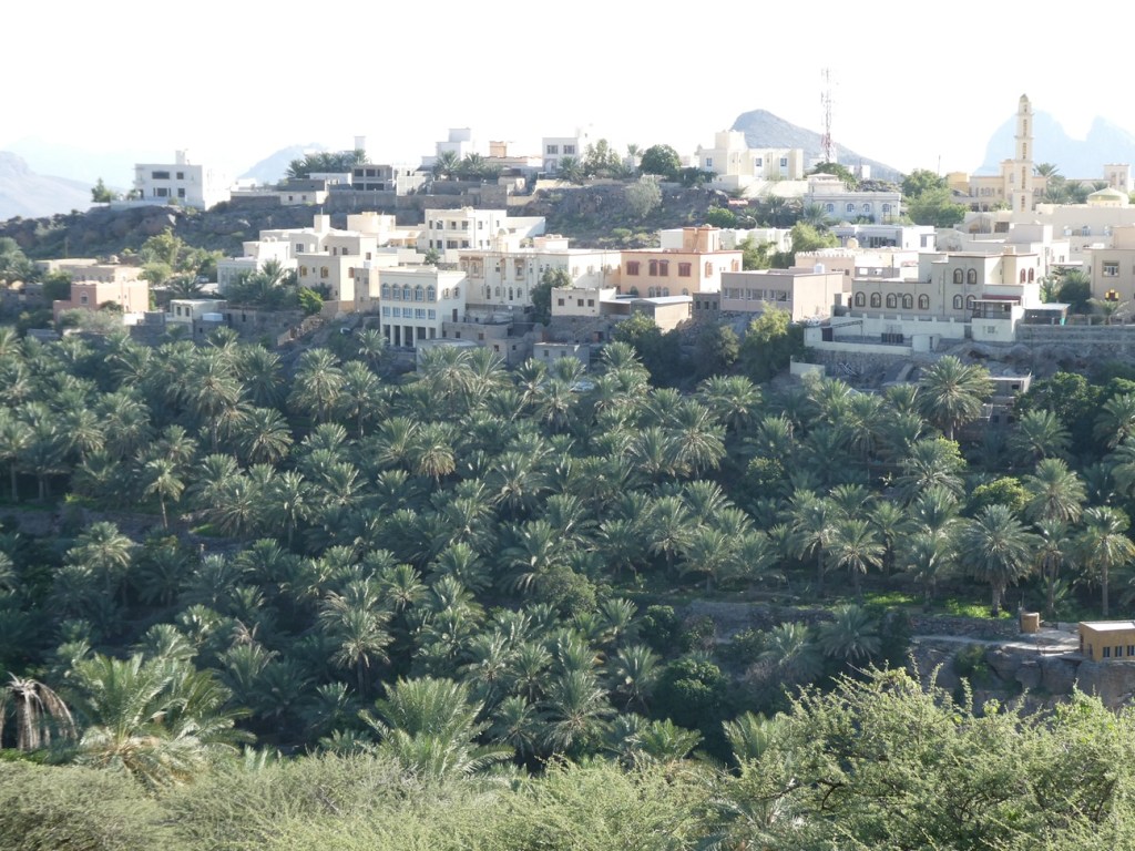 Vue panoramique d'un village sur une colline, entouré de palmiers, avec des maisons aux façades variées.
